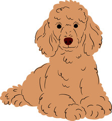 Flat Style Hand-drawn Dog Lying Down