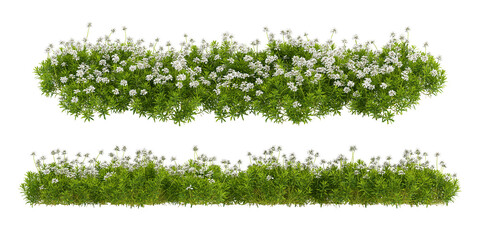 green grass isolated on white - obrazy, fototapety, plakaty
