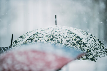 Snow Flakes Falling on Umbrella  - 741349316