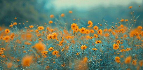 Obraz na płótnie Canvas yellow flowers in summer