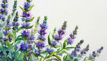 Obraz premium Oil painting of a hyssop pure white background canvas, copyspace on a side