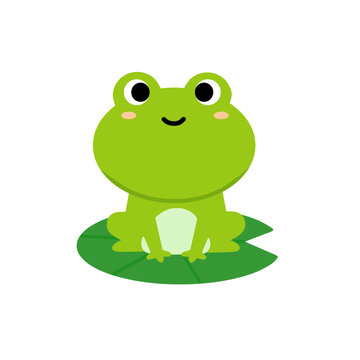 Cute frog cartoon drawing. A smiling frog sitting on a lotus leaf.