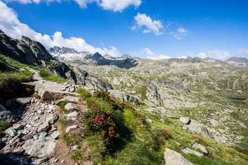 Summer landscape in Aiguestortes and Sant Maurici National Park, Spain
