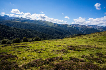 Obraz premium Summer landscape in the mountains of Navarra, Pyrenees, Spain