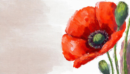 Oil painting of a poppy pure white background canvas, copyspace on a side