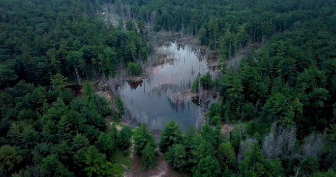 Drone shot of a small pond just outside of Lake Michigan