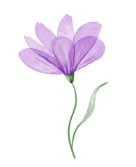 Beautiful watercolor abstract purple flower illustration