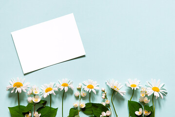 white sheet blank paper with a white daisy flowers on the blue background. Copy space, flat lay, top view, mockup