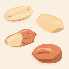 Peanut kernels in shell and peeled. Vector nuts icons.