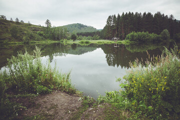 A tranquil lake nestled among trees and grass in a forest under the sky