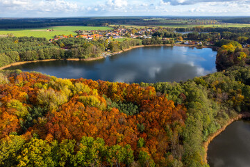 Aerial shot of beautiful lake surrounded by forest in a calm autumn day. Germany. - 741365703