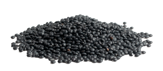 Raw Dry Lentils, Lentil Grains, Dal, Daal, Dhal, Masoor