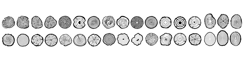Wood Slice icon vector set. Wood Rings illustration sign collection. Tree symbol. Sawmill logo.