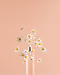 Bottle of fresh spring fragrance but instead of smell daisies coming out. Minimal fashion artwork banner. 