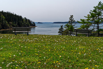 K&uuml;stenlandschaft in Kanada