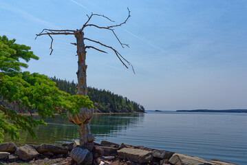 K&uuml;stenlandschaft in Nova Scotia, Kanada