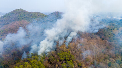Wildfires or forest fire burning with a lot of smoke with Particulate Matter with diameter of less...