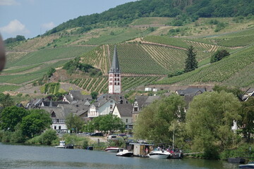 Zell-Merl an der Mosel