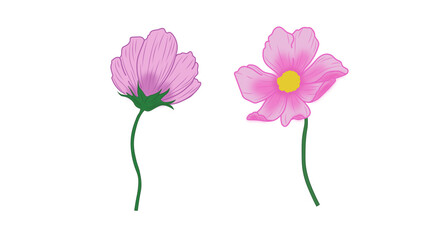Purple and Lilac Vector Flowers