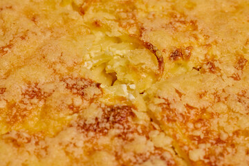 spaghetti with egg and parmesan cheese cooked in the oven, ready to eat.