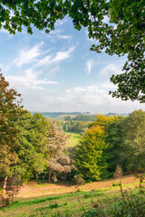 Autumn season in Winkworth Arboretum National Trust, Godalming, Surrey , England
