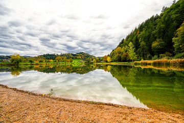 Poplar forest lake near Berghaupten in the Black Forest. Idyllic autumn landscape by the lake....