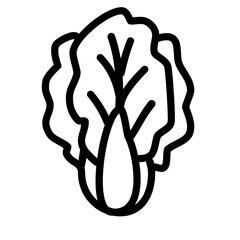 Cabbage bok choy vegetable icon