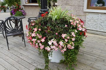 Flowers in a vase at verandah near the house