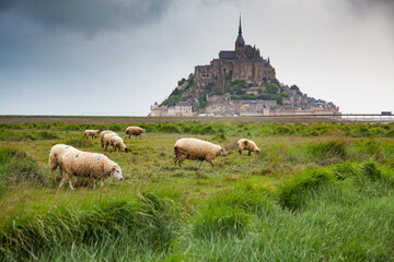 Mont Saint-Michel,  Basse-Normandie, France