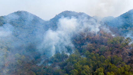 Wildfires or forest fire burning with a lot of smoke with Particulate Matter with diameter of less...