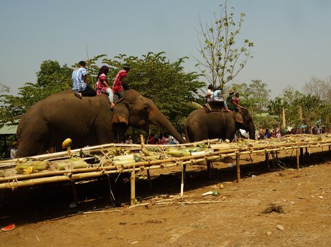People sitting on the back of elephants eating fruit buffet on Thai Elephant Day at Ban Puter, a Karen village in Mae Sot district, Tak Province, Thailand.