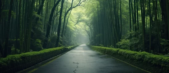  In the bamboo forest there is a path for pedestrians © gufron