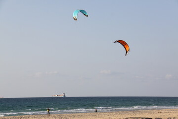 people flying their colorful kites at the beach while in the far distance a cargo ship sails by