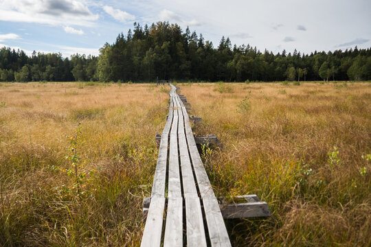 wooden bridge over the river