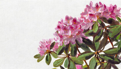 Oil painting of a rhododendron pure white background canvas, copyspace on a side 