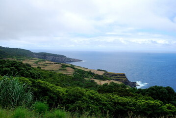 Fototapeta na wymiar Atlantic ocean seen from the top of a hill, with forest, trees and agricultural fields visible. Photograph taken in Azores. 
