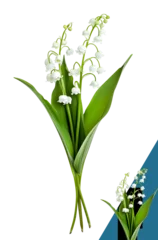 Foto op Plexiglas brin de muguet sauvage isolé sur fond transparent © Fox_Dsign