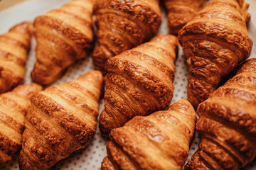 Freshly baked croissants aligned on plate