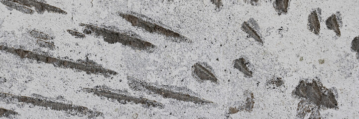 Texture of old concrete wall. Rough gray surface of concrete with a chaotic pattern of potholes and scratches. Wide panoramic background for design.