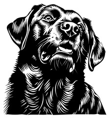 black and white illustration of dog