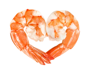 cooked shrimp isolated