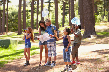 Nature, adventure and group of children in forest playing with fishing net and map for exploring. Bonding, field and young kids walking, discovery and hobby in outdoor woods together in summer. - Powered by Adobe