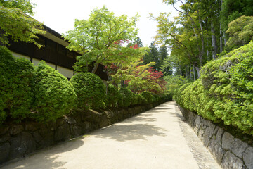 Naklejka premium 高野山金剛峯寺 壇上伽藍への参道 和歌山県高野町
