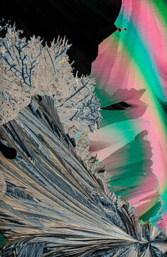Abstract colorful glitch art with natural elements