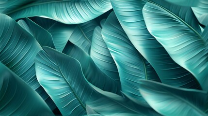 Peaceful Patterns: Soft colors, symmetrical banana leaf macro, tranquility.