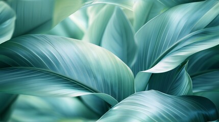 Serene Swirls: Banana leaves sway in tranquil patterns, their soft hues calming the soul.