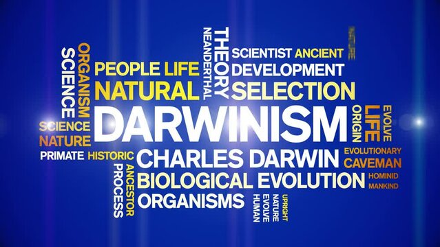 Darwinism animated tag word cloud;text design animation kinetic typography seamless loop.