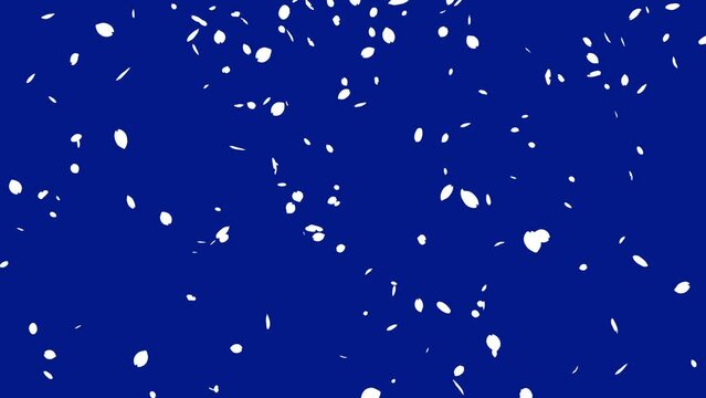 Loop video of a white silhouette cherry blossom snowstorm with petals falling from top to bottom (blue)