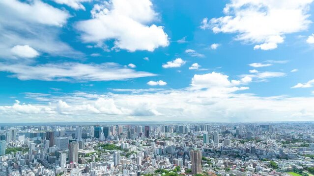東京都市風景タイムラプス