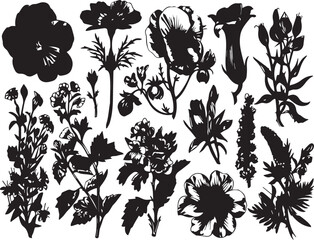 Set Flowers. Hand drawn vector illustration	